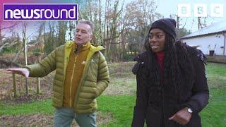 Chris Packham shows Newsround his wildlife garden | Newsround