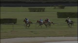 Finale du France Sire Poneys Cross Challenge 2020 à Meslay-du-Maine