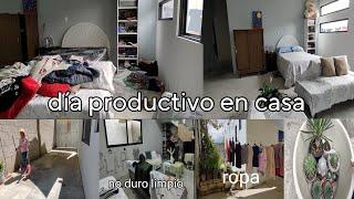 día productivo en casa / ni duro limpio / las descuide y se secaron / días de lluvia