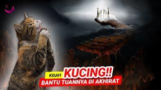 ADAKAH BENAR KISAH KUCING BOLEH BANTU TUANNYA DI AKHIRAT