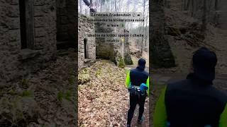 #las #przygoda #explore #trekking  #travel