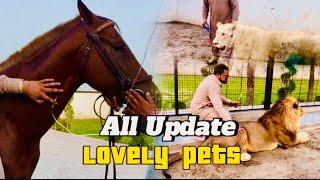 Specially snow and Alanso update🫶️(mian saqib)