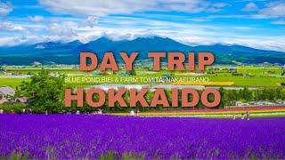 Day Trip In Hokkaido | Biei Blue Pond | Farm Tomita Furano