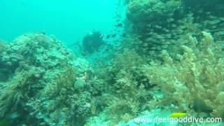 20140916~18 Fundiving Olango island kintiki marigondon cave 세부 필굿 다이브 펀다이빙 Cebu Feelgooddive