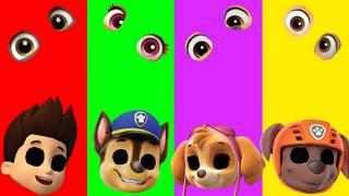 Wrong eyes challenge DAME TU COSITA Paw Patrol Funny Puzzle Wrong Heads