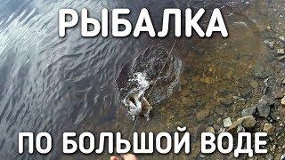 РЫБАЛКА ПО БОЛЬШОЙ ВОДЕ