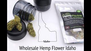 Wholesale Hemp Flower Idaho - Buy Bulk Hemp Here