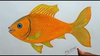 Fish drawing step by step.