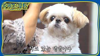 (뭉클) ′토토′의 출연 이유 | 유 퀴즈 온 더 블럭 YOU QUIZ ON THE BLOCK EP.3