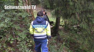  Auf der Suche nach der Vermissten Scarlett S. - Der Mann mit dem Hammer im Wald in Todtmoos-Rütte