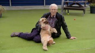 Paul O'Grady: For the Love of Dogs S010E01 Full Episode HD