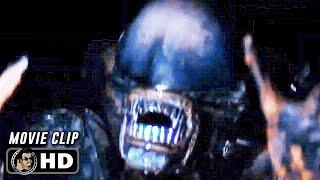 Dallas Death Scene | ALIEN (1979) Movie CLIP HD