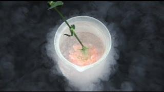 Liquid Nitrogen Experiments: The Carnation