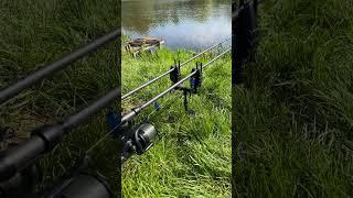 Sound ON #boilies #carp #carpfishing #fish #fishing #hobby #daiwa #fox #korda #tigernuts