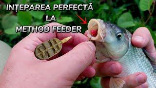 Pescuit la feeder la tehnica method cu Pești Mofturoși  #fishing #fish 