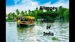 Alleppey backwater Kerala ,Venice of India [Back2travels]