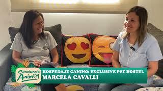 CONCIENCIA ANIMAL - HOSPEDAJE CANINO: EXCLUSIVE PET HOSTEL - MARCELA CAVALLI