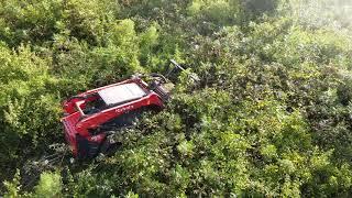 Kubota SVL Z97-2 with a Diamond drum mulcher clearing land with zero visibility.