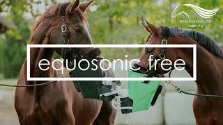 Inhalator für Pferde - equosonic free Aufbau und Reinigung - Medizintechnik Hartwig