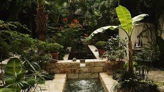 Spanish courtyard garden San Antonio : Claire Golden | Central Texas Gardener