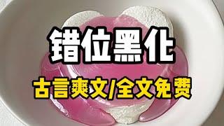 书名《错位黑化》