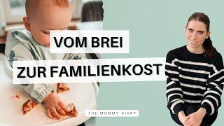 Übergang vom Brei zu Familienkost | Wie macht man nach dem Babybrei weiter? Fingerfood & mehr