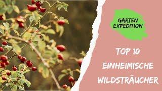 Top 10 einheimische Wildsträucher für den Naturgarten - Gartenexpediton