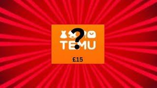 What can you get with £15 on temu ft:theinfectedduckii