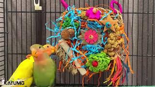 KATUMO Bird Toys, Parakeet Toys Cockatiel Foraging Toys Conure Shredder