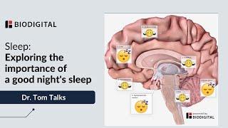 Sleep: Exploring the Importance of a Good Night's Sleep