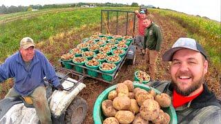 The REAL SIDE of family farms