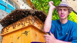 #4 Das hab ich noch nie erlebt! Bienenschwarm übernimmt Garten / Was jetzt?