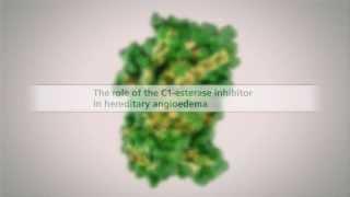 The Role of the C1-Esterase Inhibitor in HAE