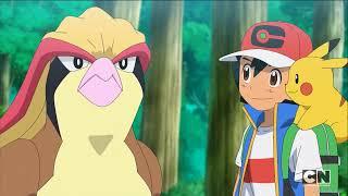 Ash Reunion With Pidgeot Eng Dub