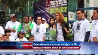 Protestan con cadena humana en embajada de EU por maltrato animal en circos americanos.