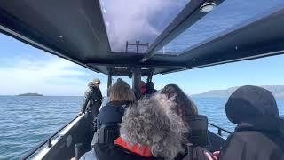 A Breathtaking Ride on a Viking Expeditions Special Operations Boat (SOB)