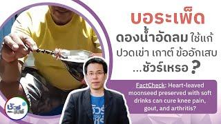 ชัวร์ก่อนแชร์ : บอระเพ็ดดองน้ำอัดลมแก้ปวดเข่า เกาต์ ข้ออักเสบ จริงหรือ?