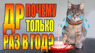 Happy Birthday Няша! К сожаленью День Рождения только раз в году.