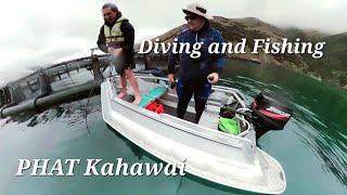 Akaroa Diving and Fishing with @KiwiKaimoana | and a couple dives in Wellington