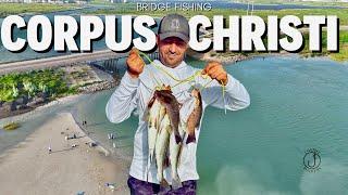 Packery Bridge, Big Trout Limit: Corpus Christi Fishing