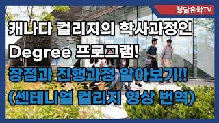 캐나다 컬리지에서 제공하는 Degree 학사학위 프로그램의 특징과 장점!(센테니얼 컬리지 영상 번역)