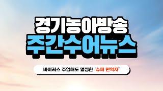 [주간수어뉴스] 바이러스 주입해도 확진자와 파티해도 멀쩡한 '슈퍼 면역자'?