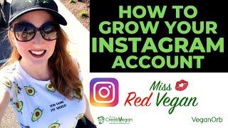 HOW TO GROW YOUR INSTAGRAM ACCOUNT MISS RED VEGAN