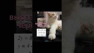 как построить прямую. линейную функцию. график прямой