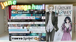 collective manga haul & unboxing - june 2024