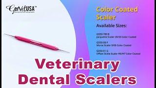 Veterinary Dental Scalers Surgical Instruments | GerVetUSA