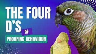 The Four D's of Proofing a Behaviour | Flock Talks