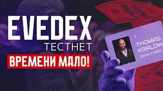 EVEDEX: проходим бесплатный тестнет. Обзор гибридной биржи EVEDEX.