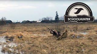 охота на гуся 2011