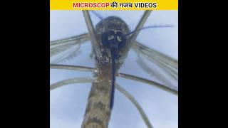 गजब microscopic videos  | part 3 | MsT Fact Wala | #youtubeshorts #shorts